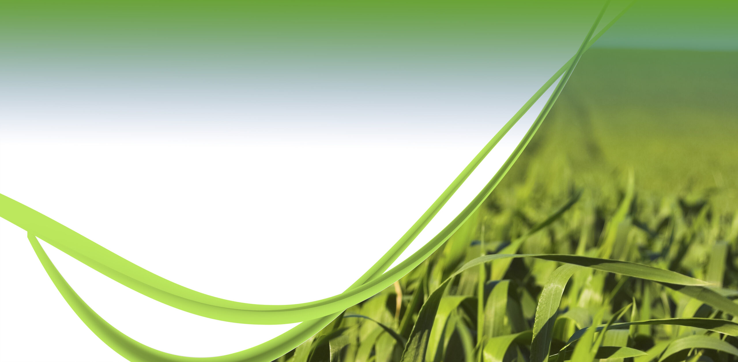 Línea de producción automatizada de tubos en planta CORVI