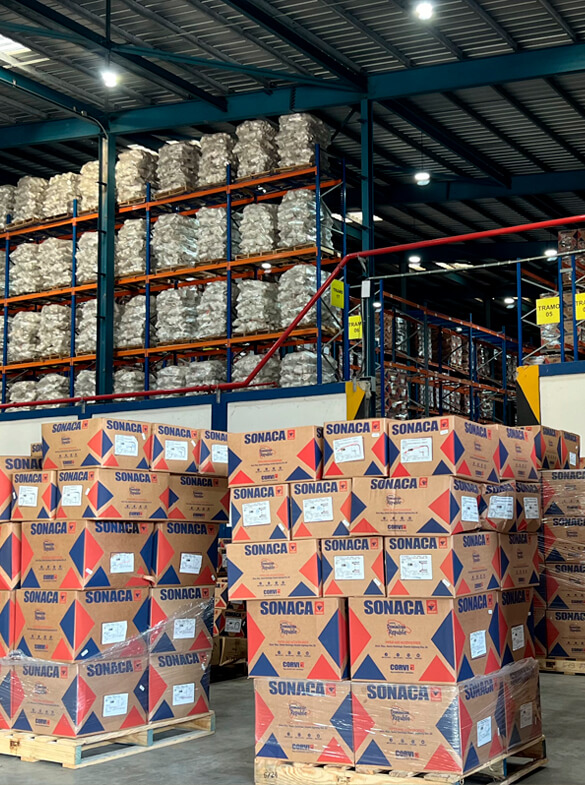acero galvanizado rd